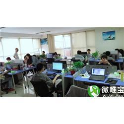 漳州APP與軟件開發 專業定制服務的選擇指南